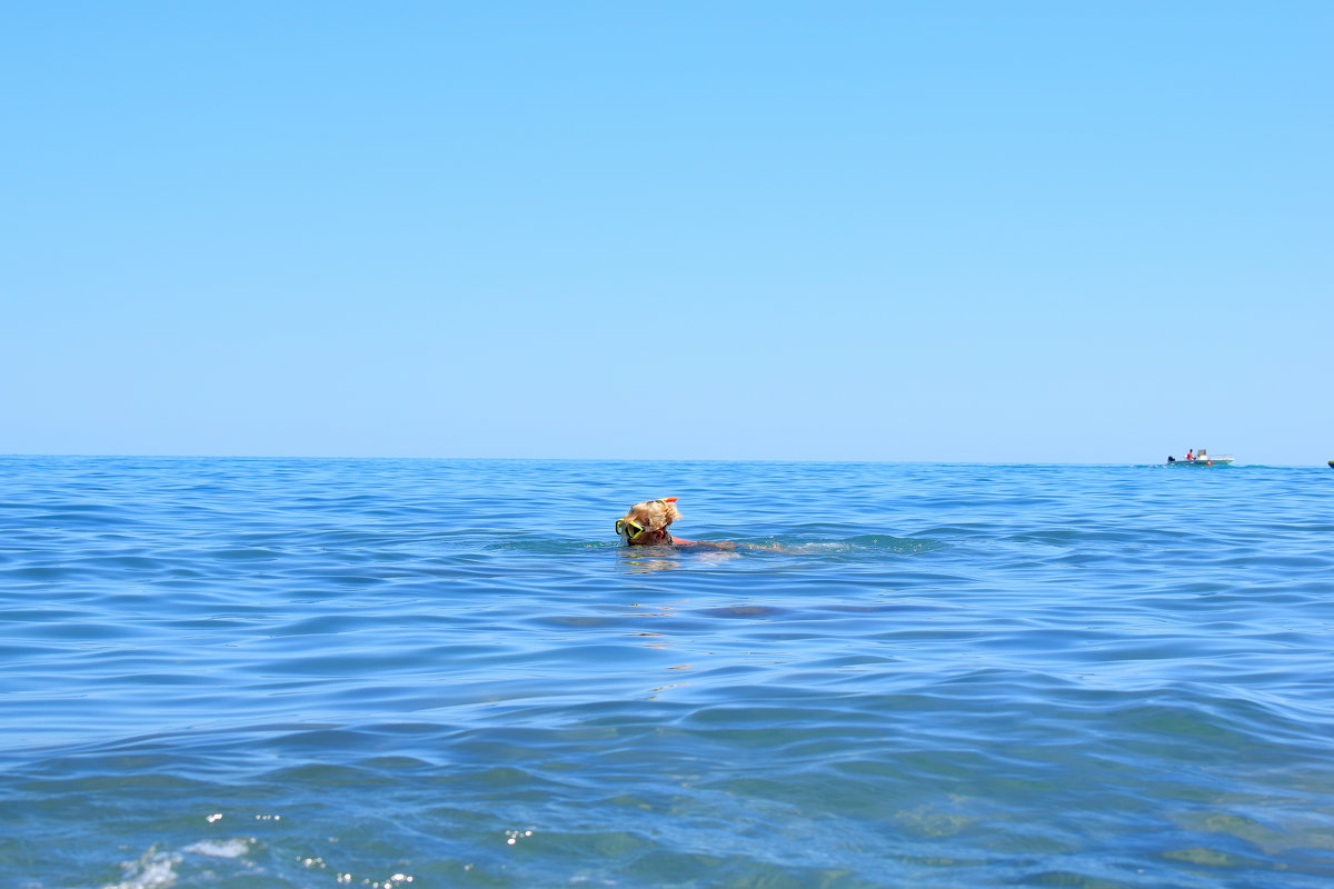 Подводная ловля рыбы на Чёрном море - Наталья Базанова