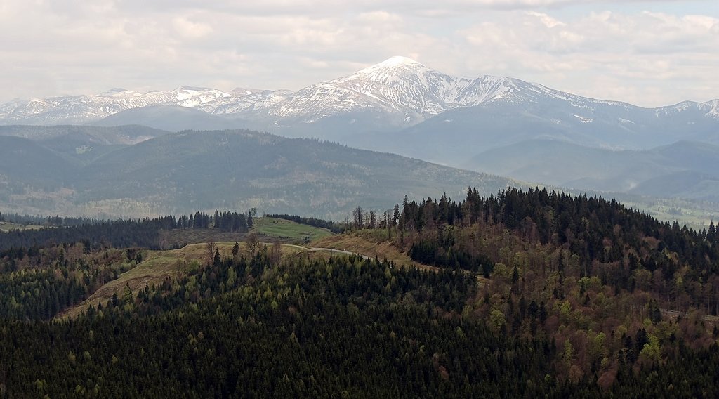 В Карпатах - Роман Савоцкий