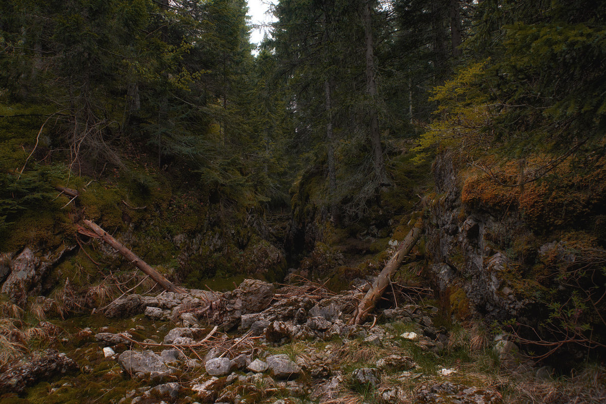 Durmitor - Георгий Муравьев