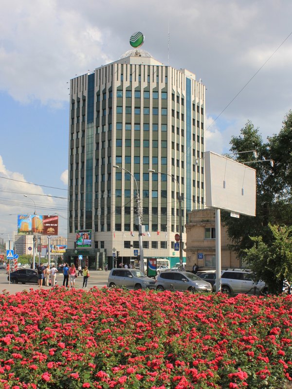 Миллион алых роз - Наталья Золотых-Сибирская