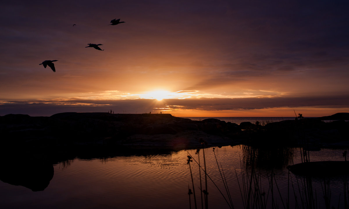 В дорогу - liudmila drake В дорогу - liudmila drake