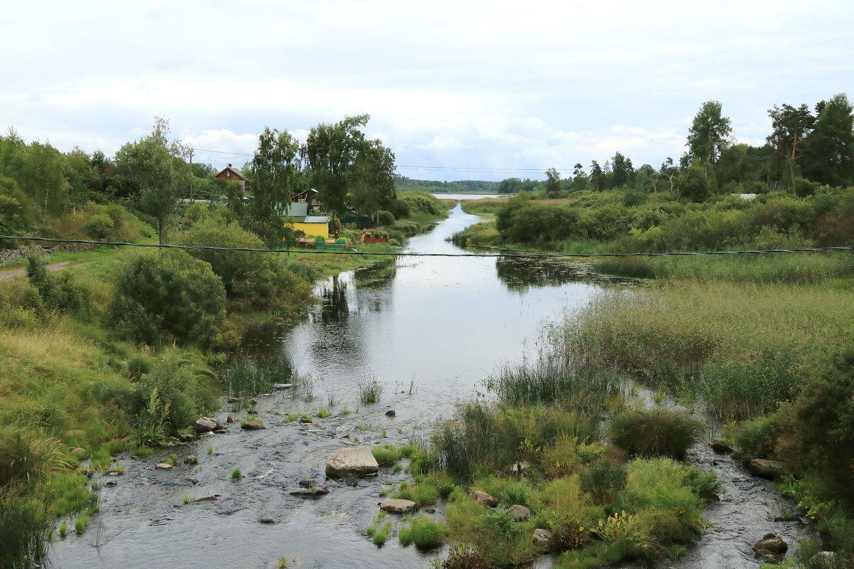 ... - Петр ... - Петр