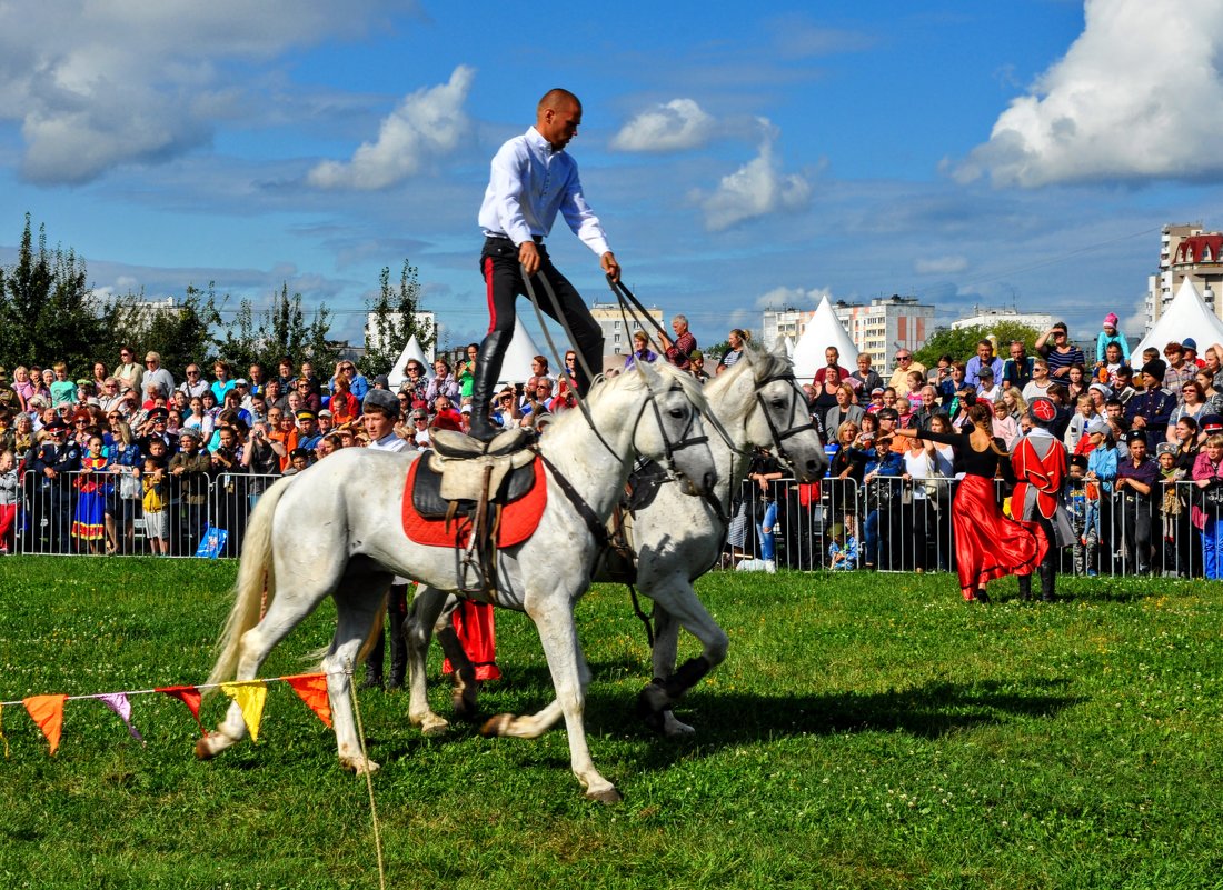 Соло на лошадях - Анатолий Колосов