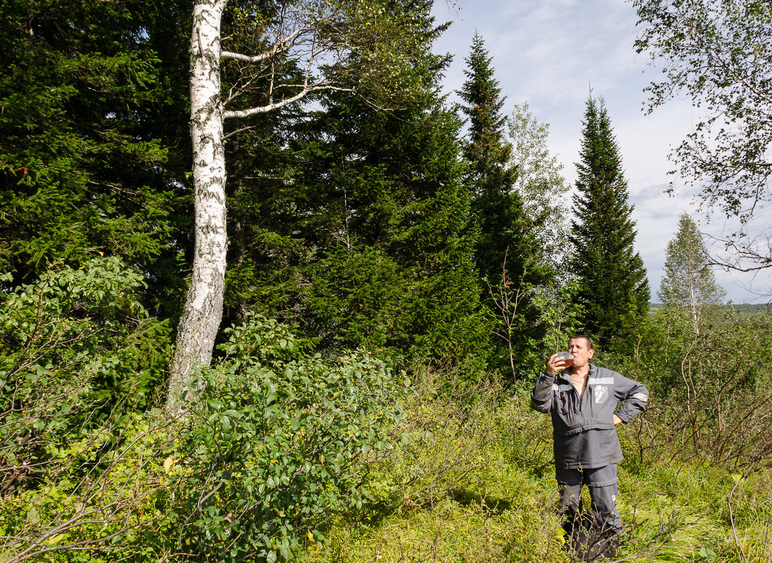 **** - Павел Савин **** - Павел Савин
