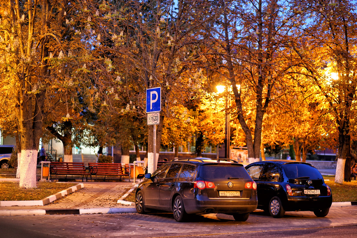 весна в душе )) каштан зацвел в сентябре ....18.09.2017 - Елена Лабанова