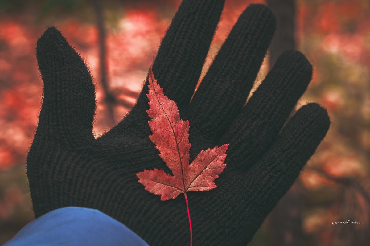 Прикосновение осени - Екатерина Яицкая