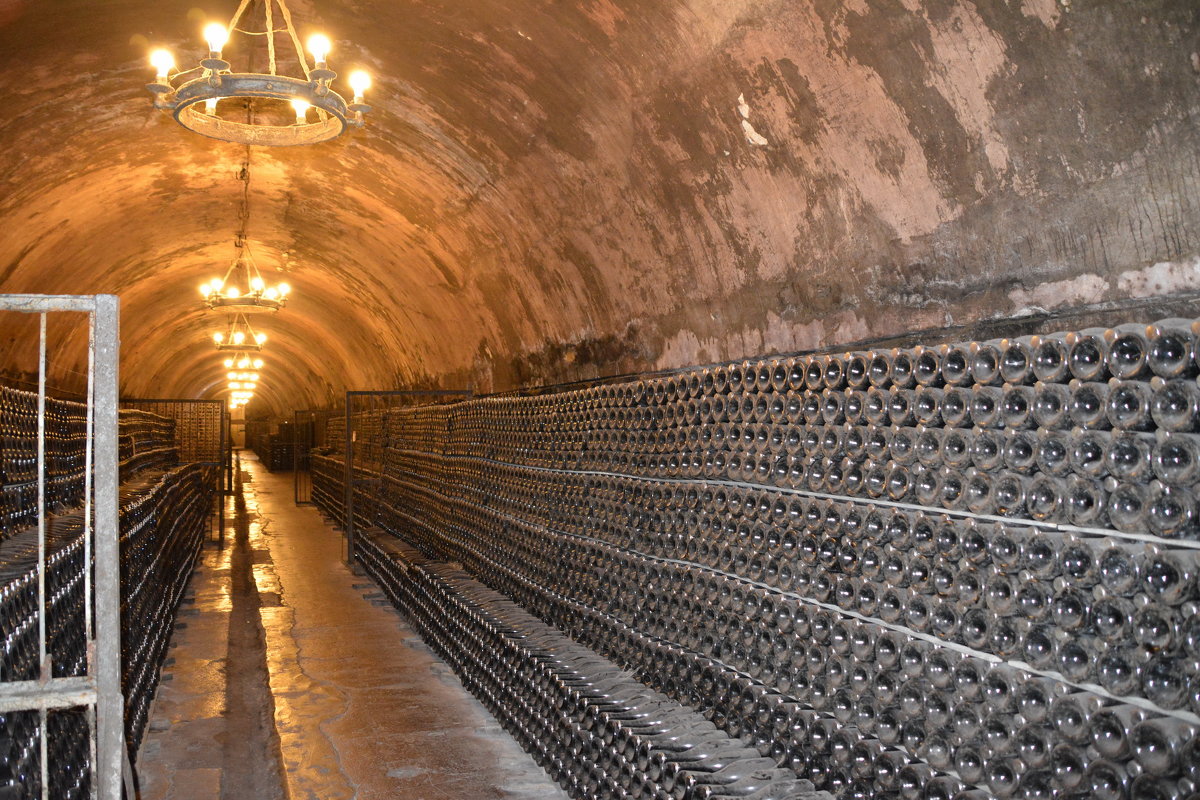 Абрау-Дюрсо - Николай 