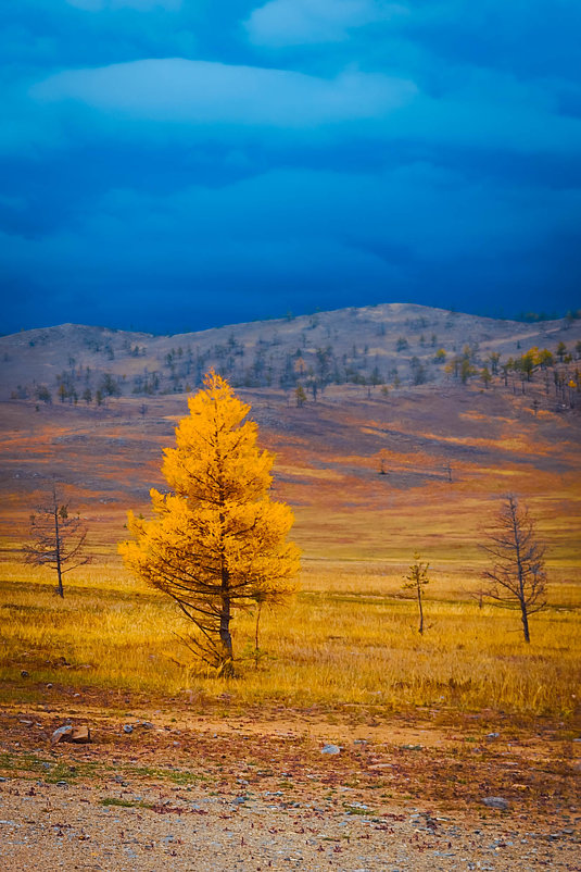 Марсианский пейзаж - Анна 
