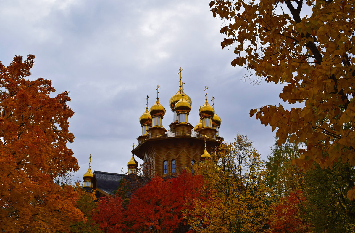 Осень - Алина Муравлева