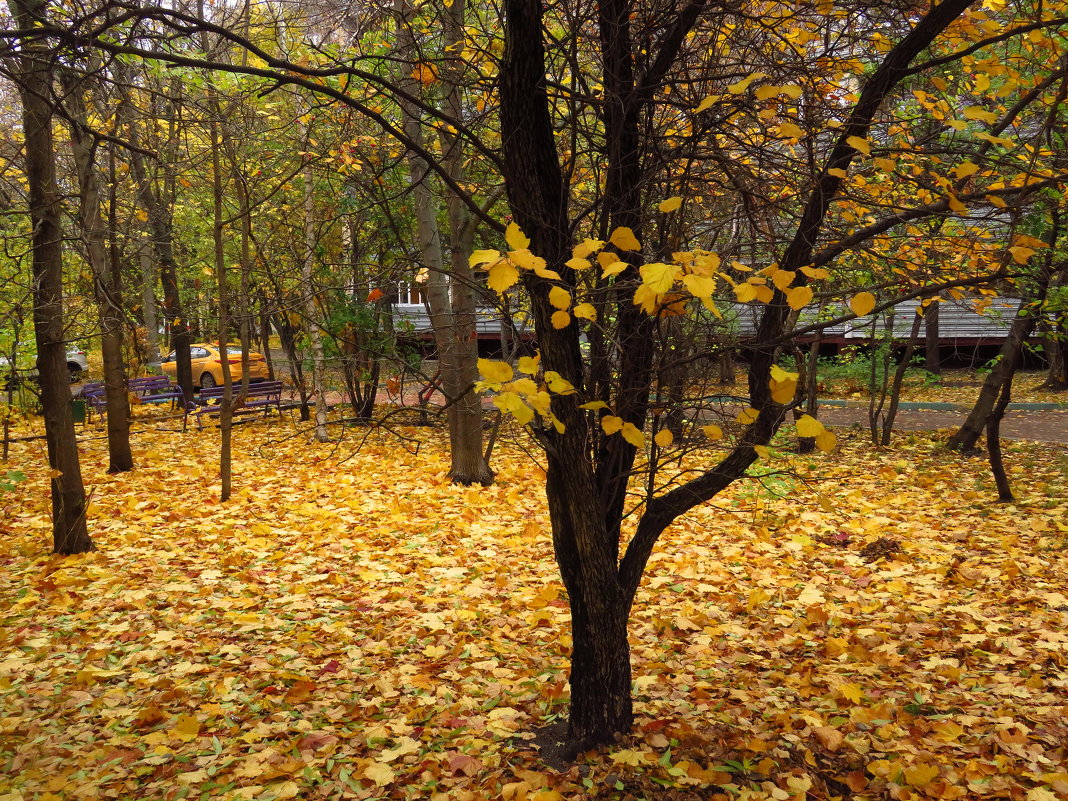 Экватор осени в городе - Андрей Лукьянов