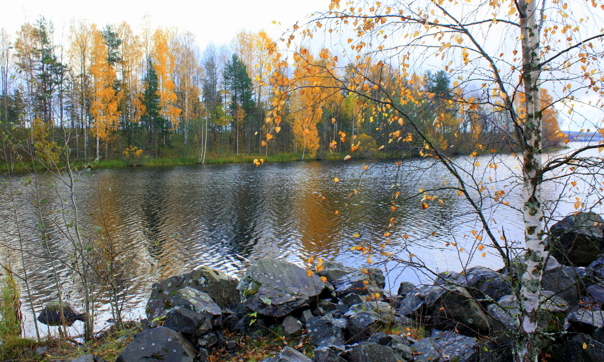 Осень в Карелии - Николай Гренков