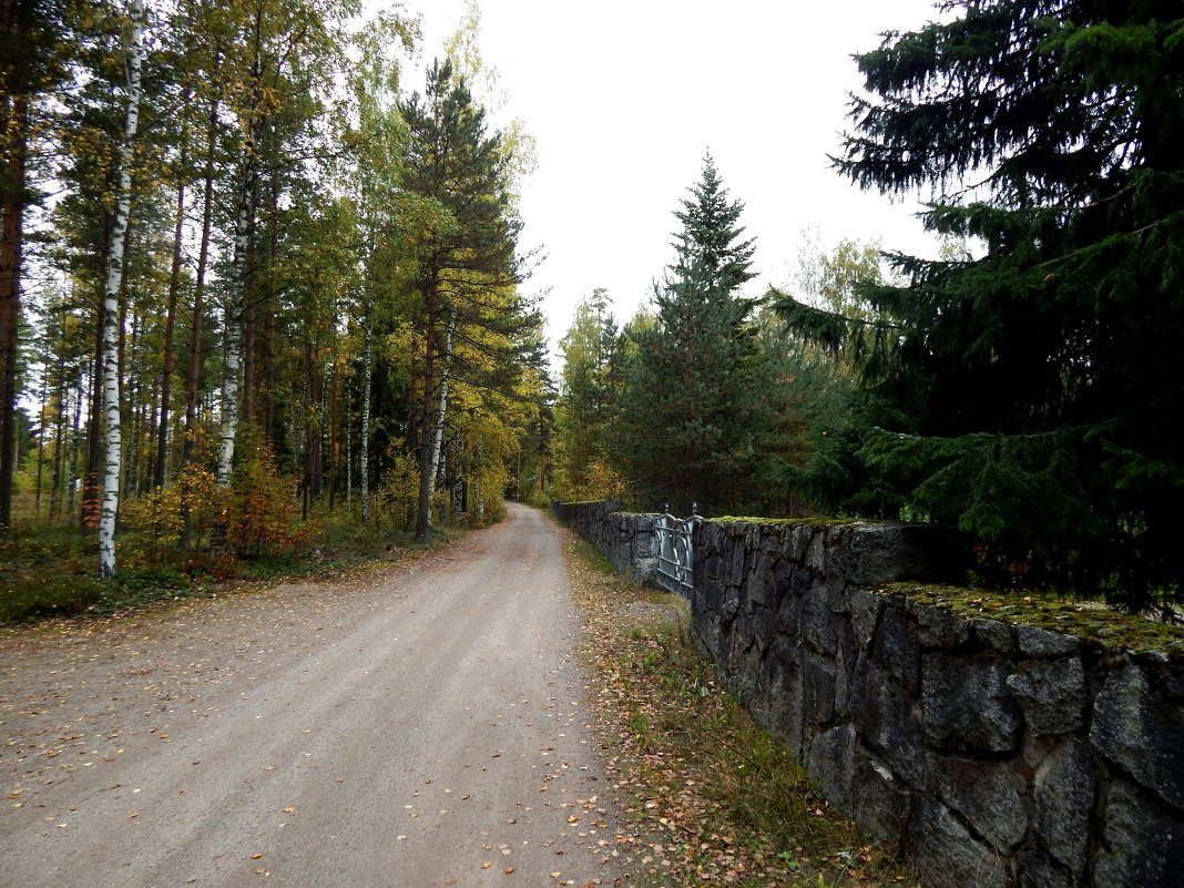 Страна Suomi. Иматра. - Лариса (Phinikia) Двойникова