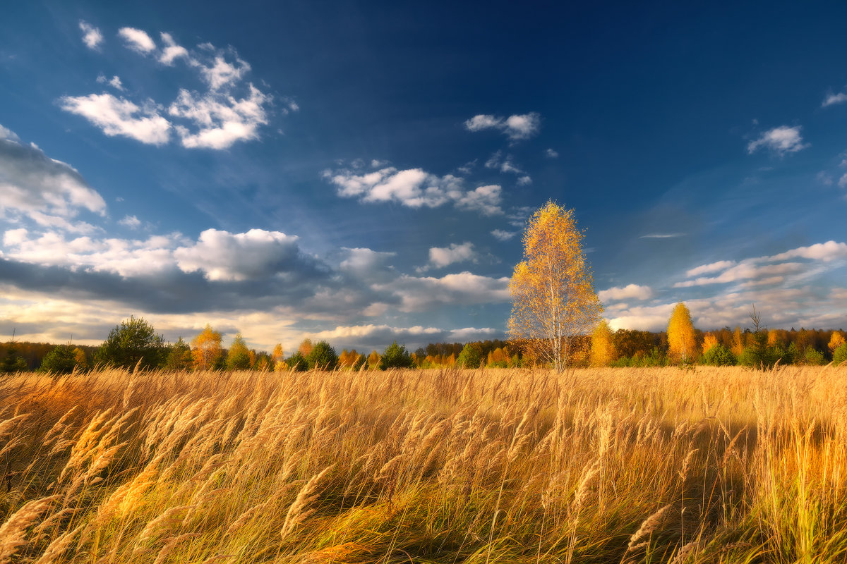Под небом осени... - Roman Lunin Под небом осени... - Roman Lunin