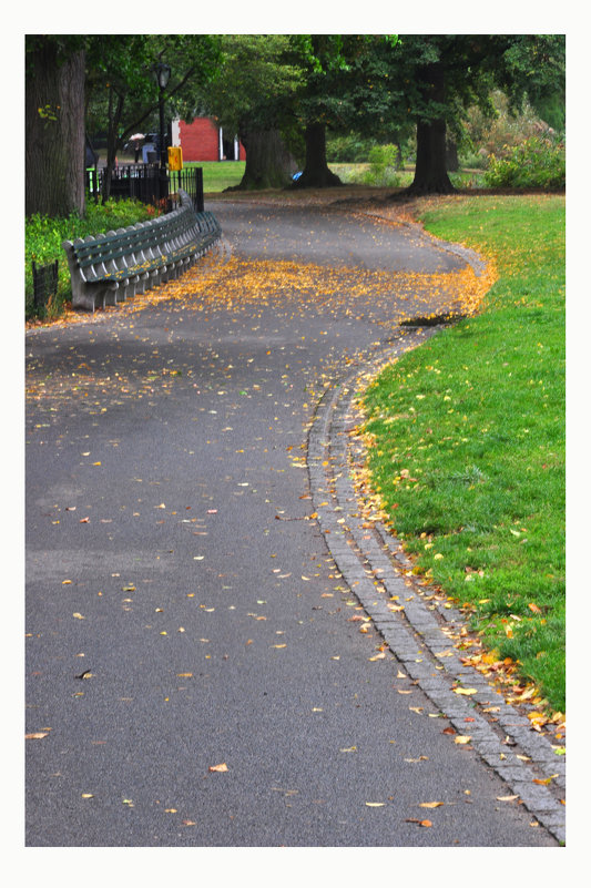 Central park path - Алексей 