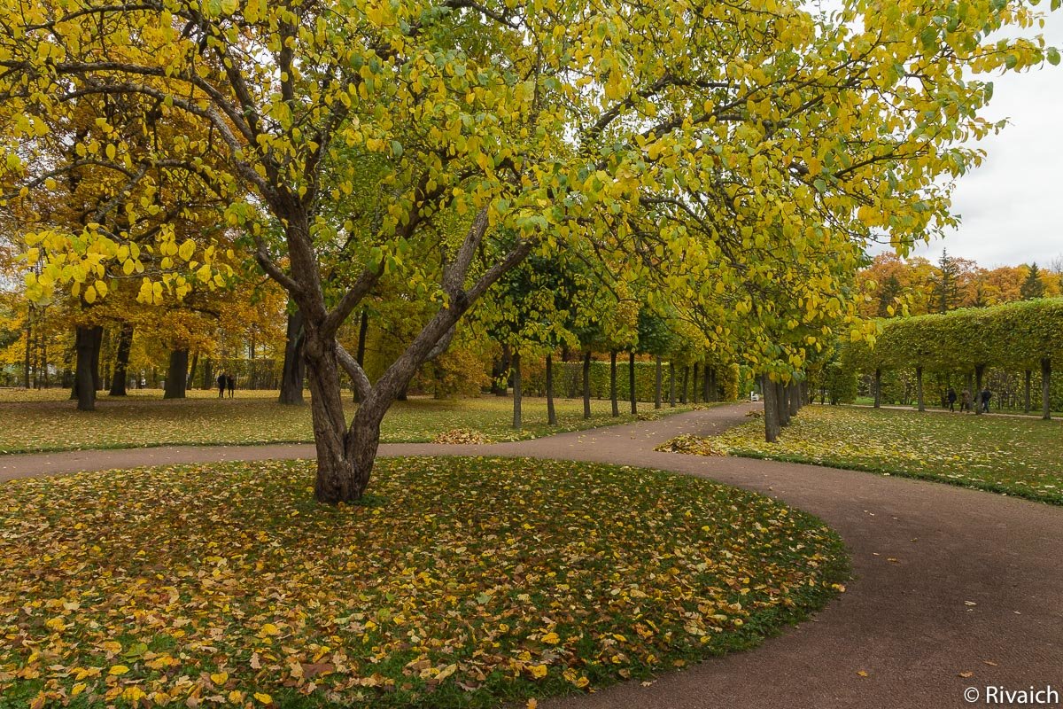 Осень - Сергей Залаутдинов