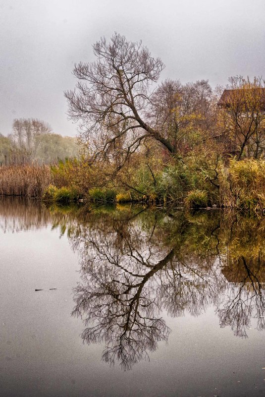 осенний пейзаж - юрий иванов осенний пейзаж - юрий иванов