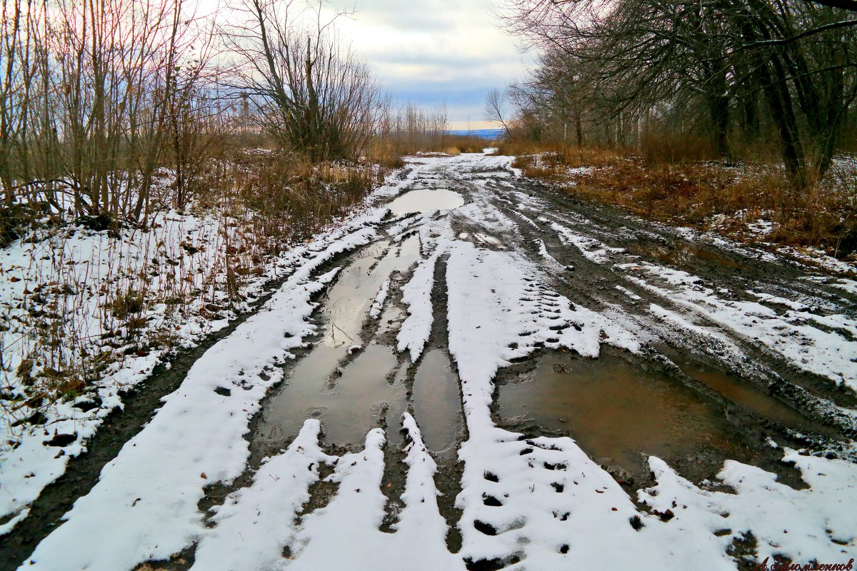 Ну до чего унылая пора, когда ноябрь у двора! - Андрей Заломленков