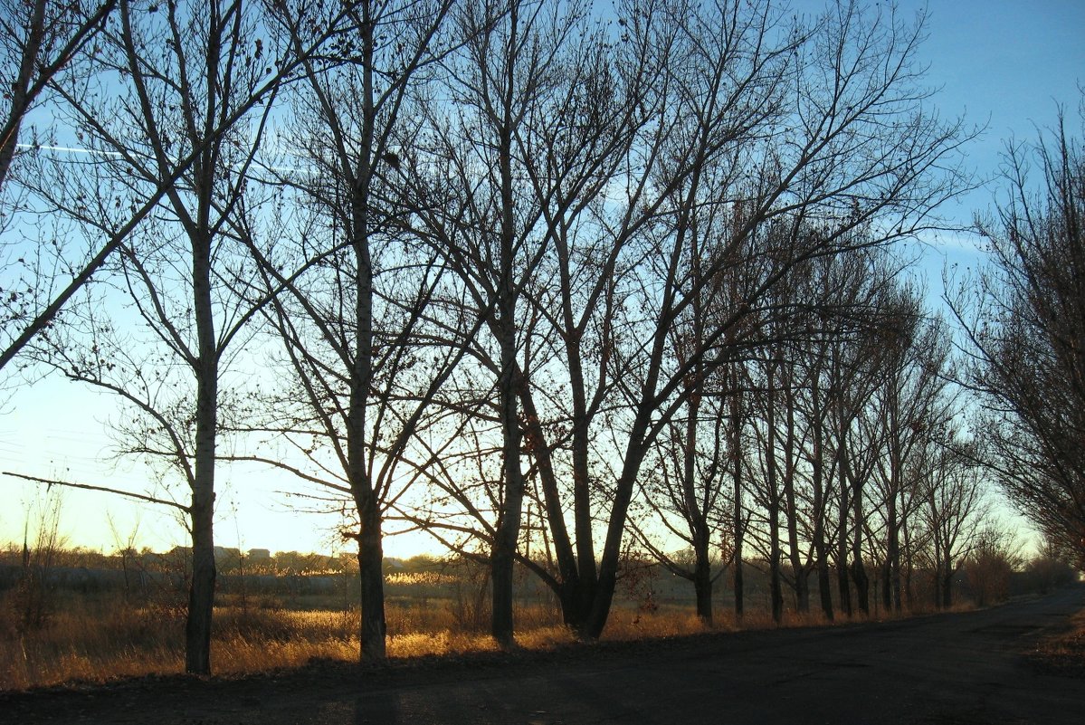 Перед закатом. Осень - Natali Перед закатом. Осень - Natali
