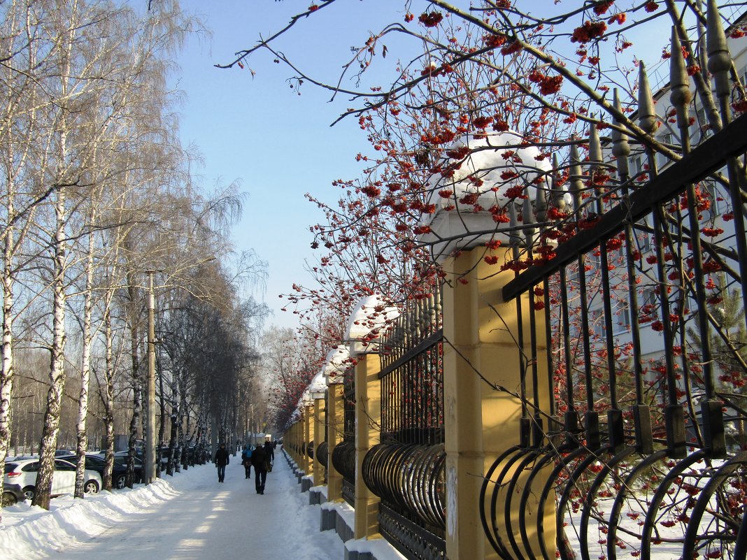 Зима в городе - Galaelina ***