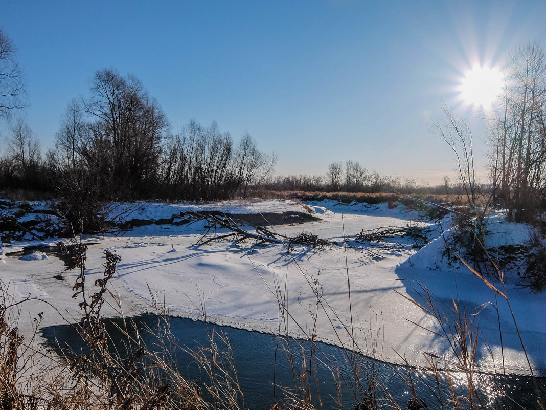 Замерзающая Лосиха - Elena Sartakova