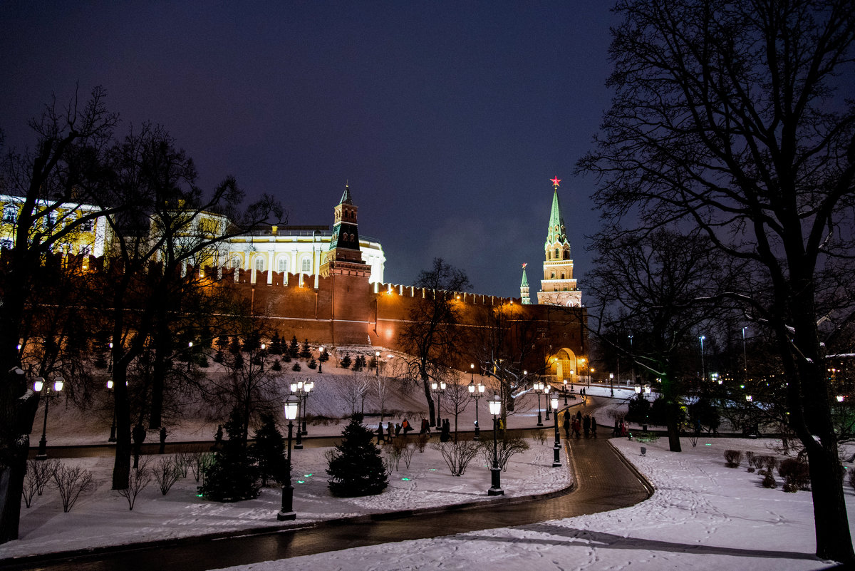 *** - Владимир Безбородов