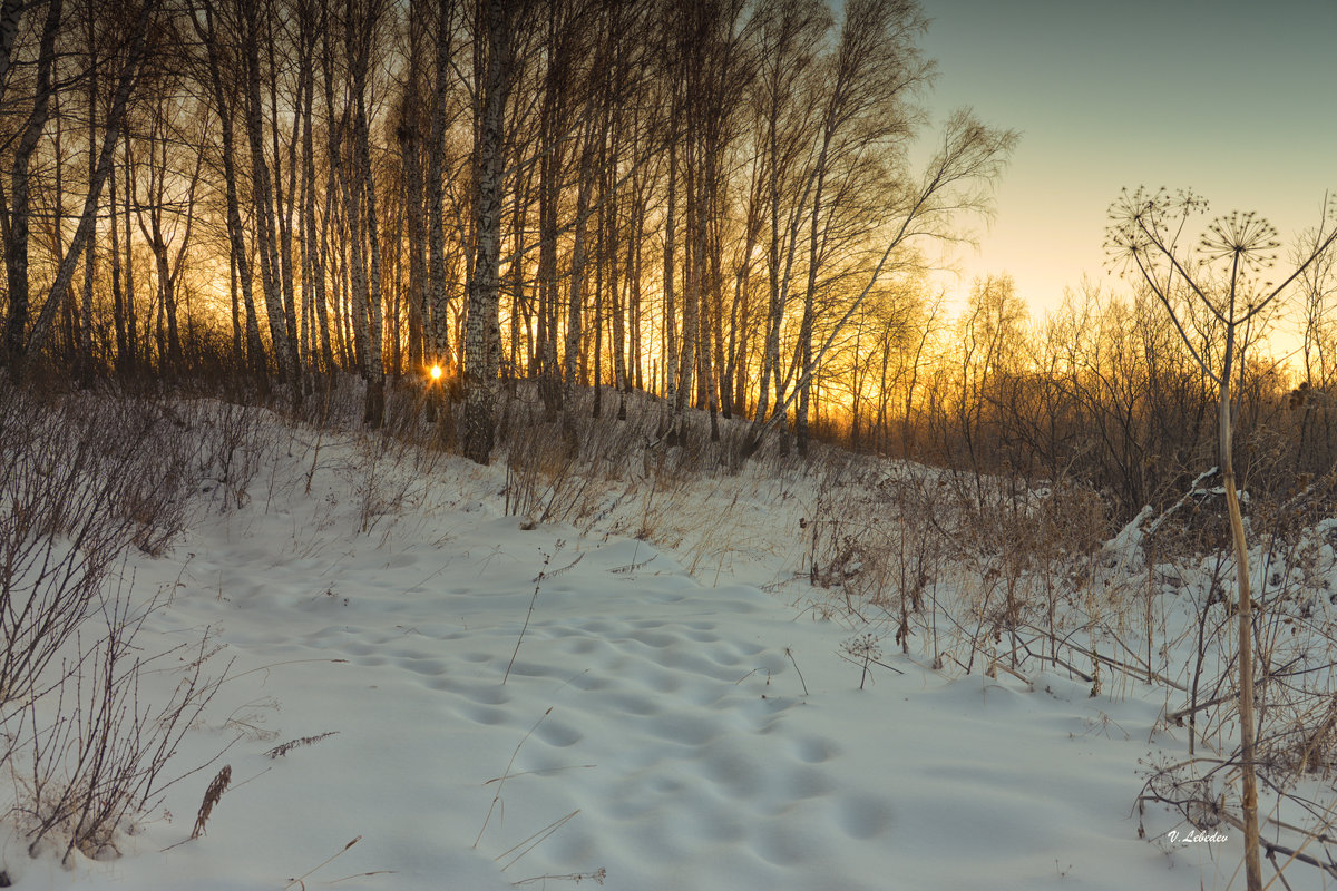 приветное - cfysx 