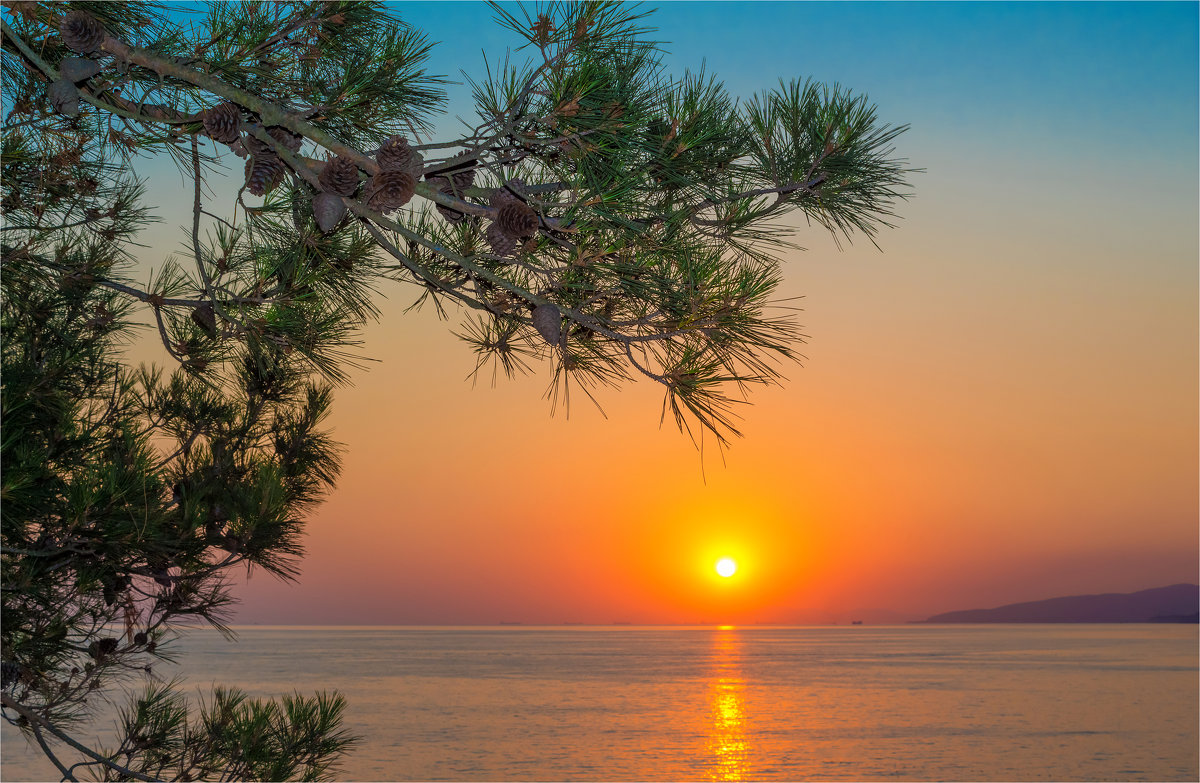 В свете уходящего дня. - Евгений Воропинов В свете уходящего дня. - Евгений Воропинов