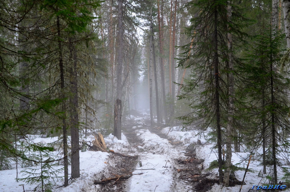 В тумане все не так течет, у времени особый счет... - © ГраВИ