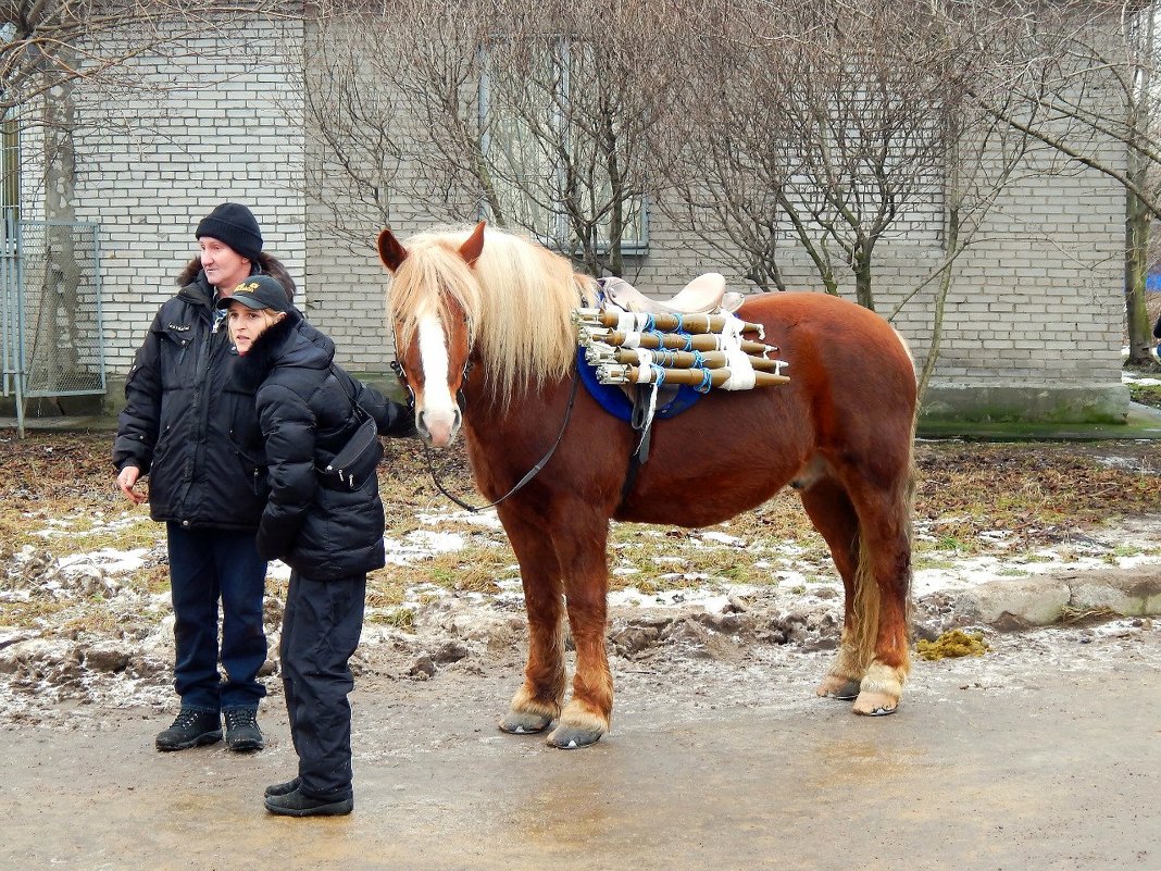 Подвоз боеприпасов. - Виктор Егорович