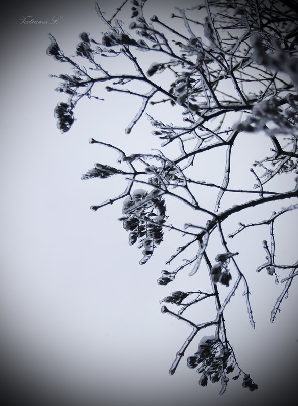 Monochrome - Tatiana Lun