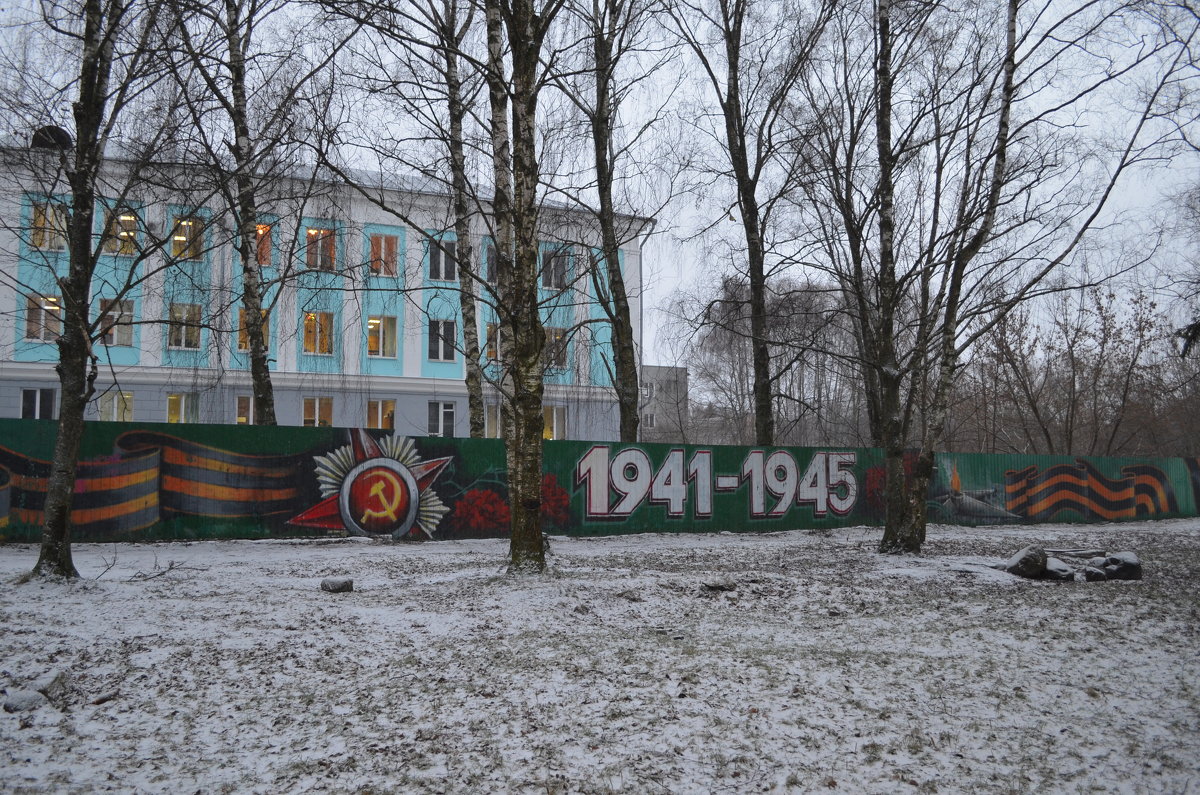 Великие Луки. 11.01.2018 - Владимир Павлов