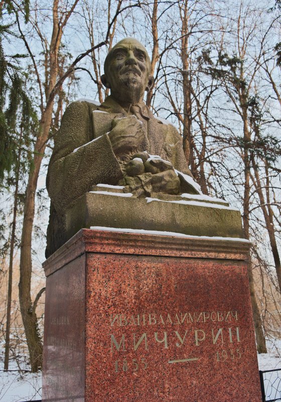 Иван Владимирович Мичурин - Сергей Михайлович