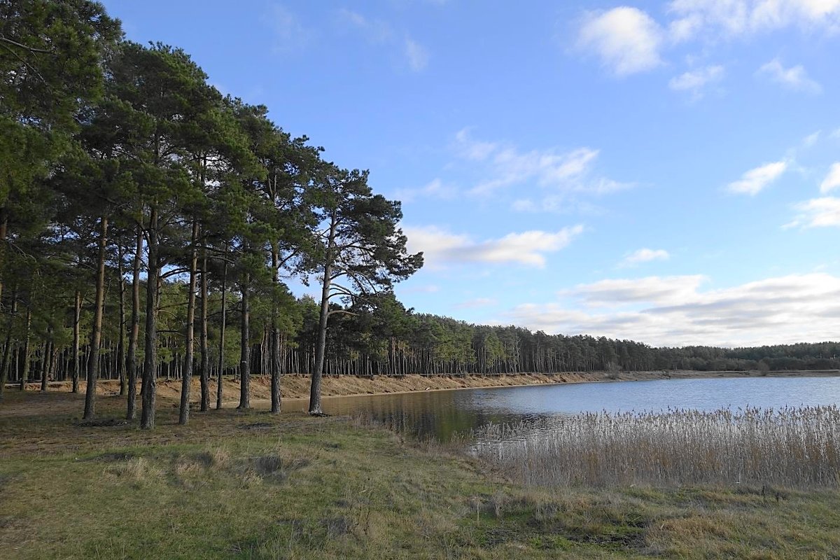 Январские картинки - Маргарита Батырева Январские картинки - Маргарита Батырева