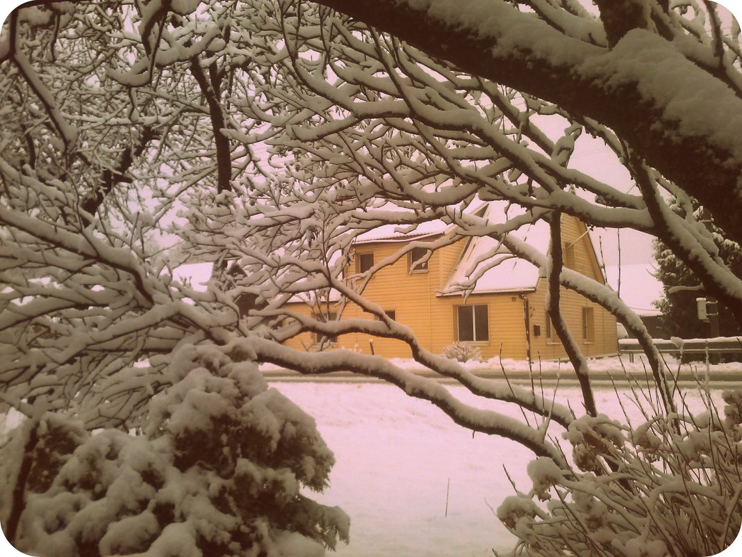 Šeštadienio rytas mano gatvėje / Saturday morning in my street - silvestras gaiziunas gaiziunas