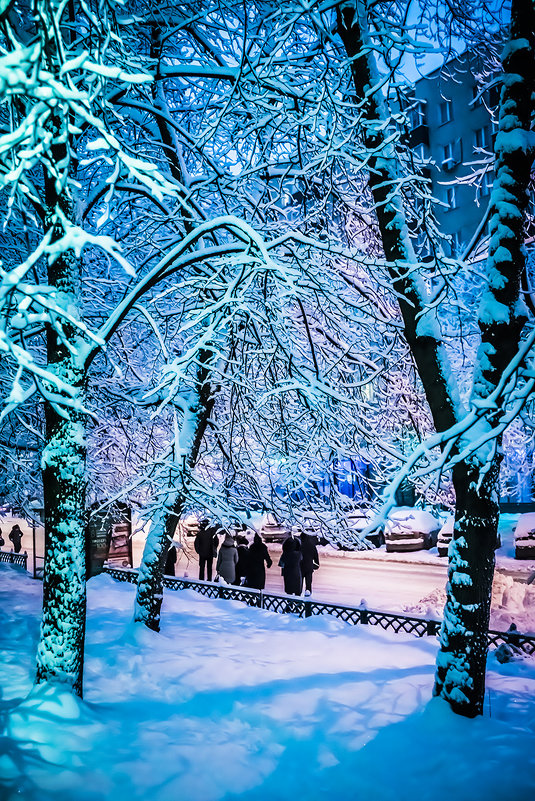 Москва. Снегопад. - Игорь Герман