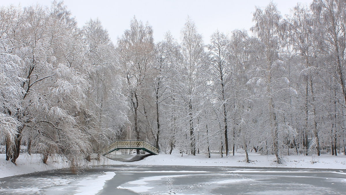 Занесло - shabof 