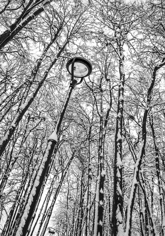 @ - Константин Подольский