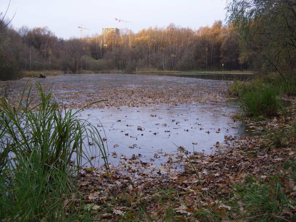 Вот и всё - Анна Воробьева