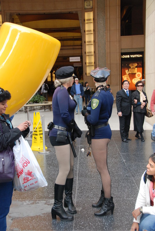 Полиция Лос-Анджелеса - Николай Танаев Полиция Лос-Анджелеса - Николай Танаев