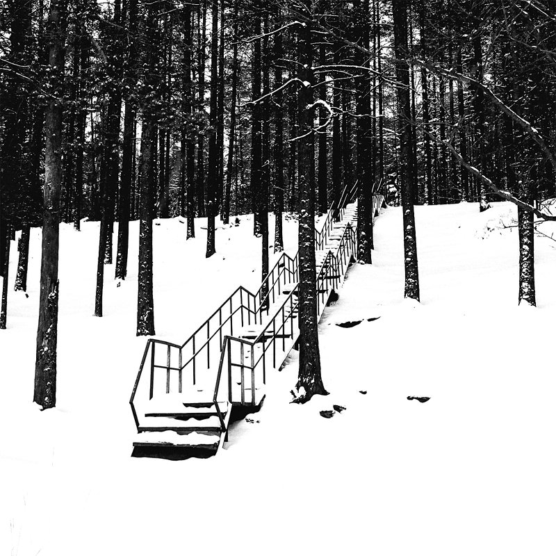 * - Алексей Герасимов