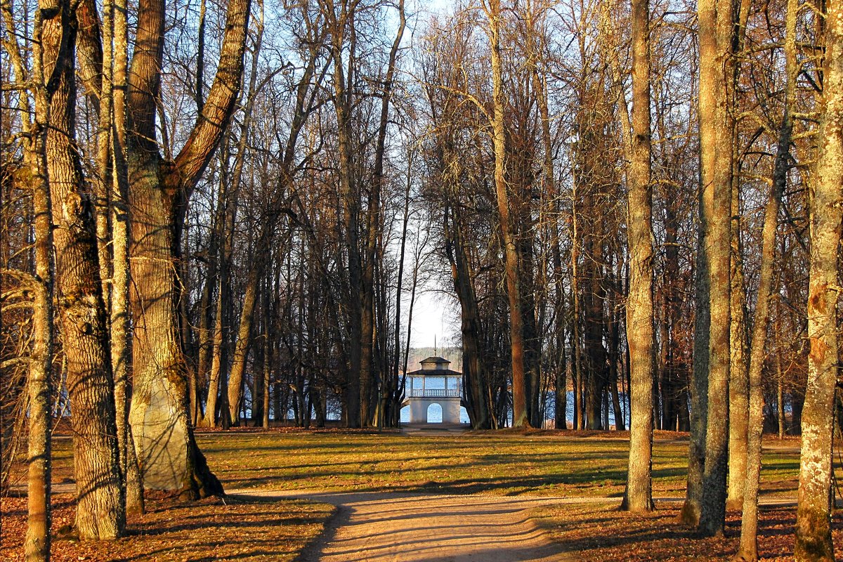 Весна в парке. - Нина Бурченкова.