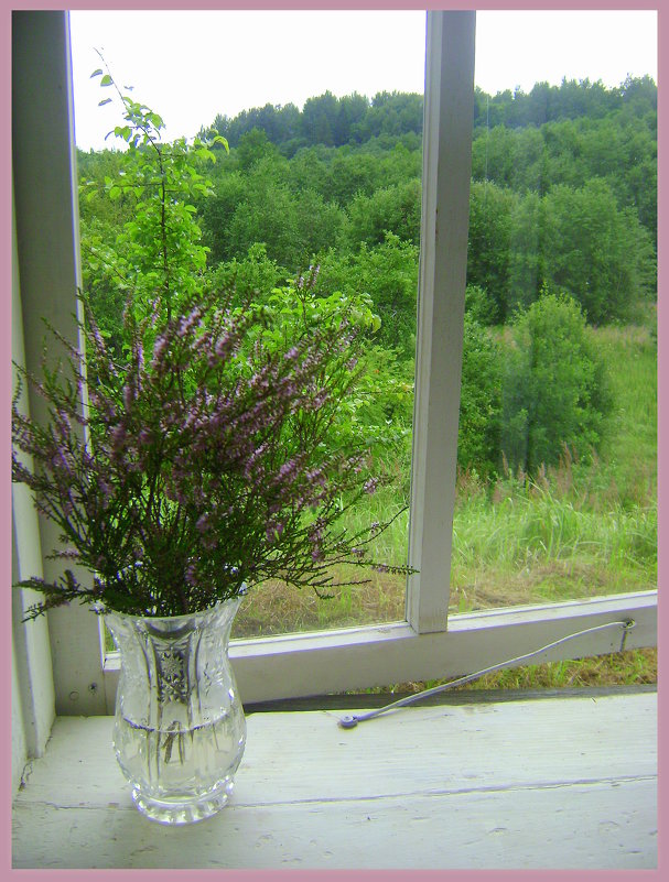 Пейзаж и натюрморт в одном флаконе - Марина Домосилецкая