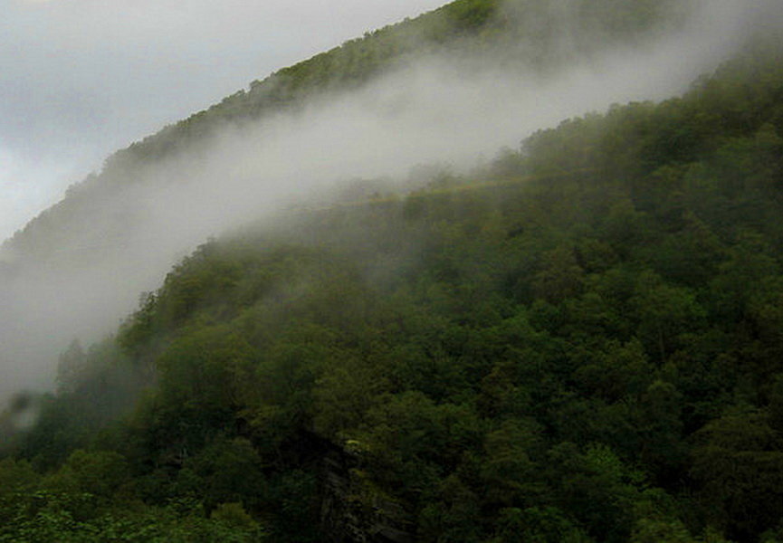 Горные пушинки.... - Tatiana Markova