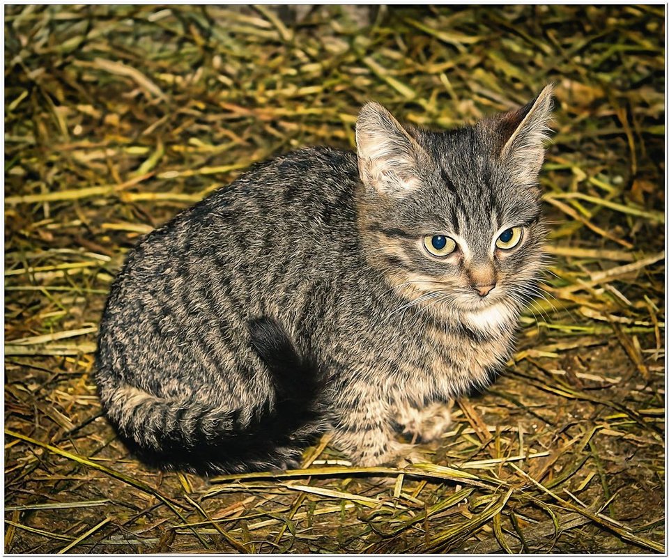 - - Евгений Кочуров