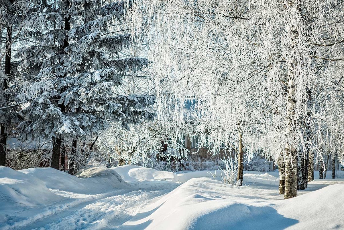 КОНЕЦ МАРТА. МОРОЗНОЕ УТРО. - Юрий Глушков