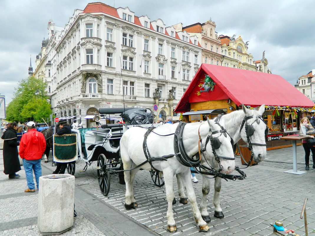 В праге прекрасной. Староместская площадь - Алла Захарова В праге прекрасной. Староместская площадь - Алла Захарова