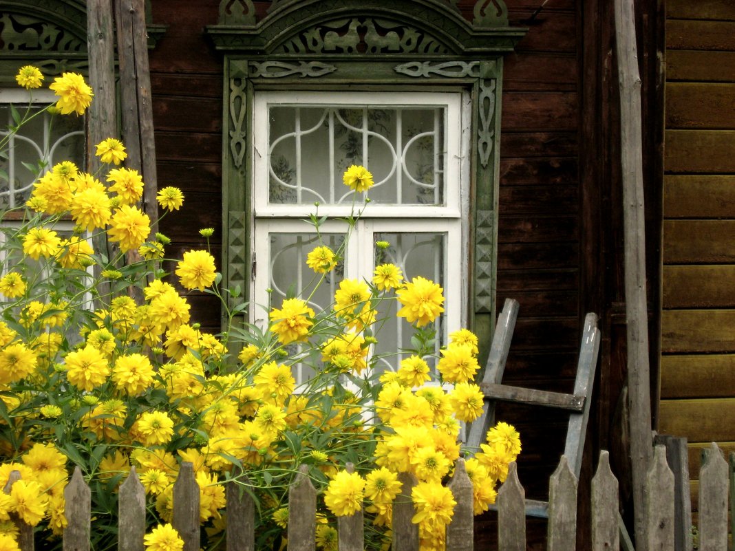 Старый дом в Плёсе - Надежда 