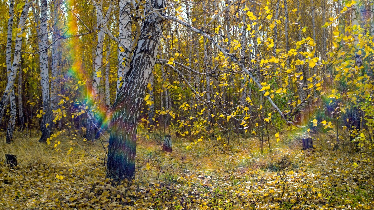 *** - герасим свистоплясов