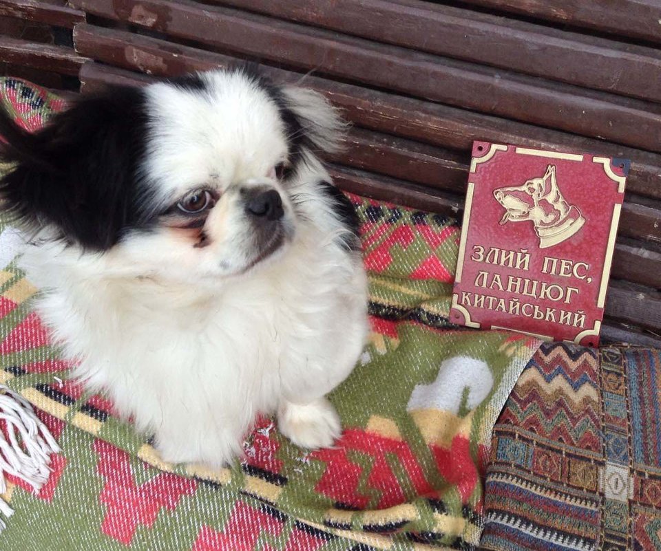 Ну очень злой! - Александр Скамо Ну очень злой! - Александр Скамо