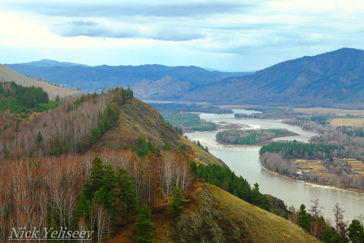 ********* - Николай Елисеев ********* - Николай Елисеев